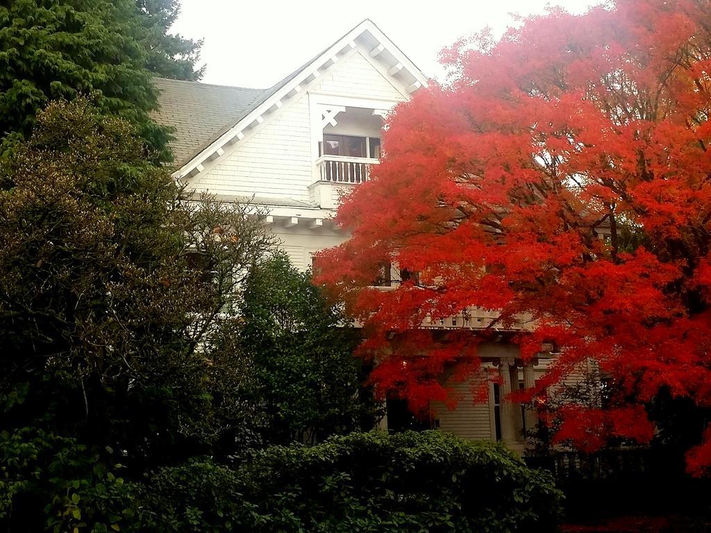 Evermore Portland