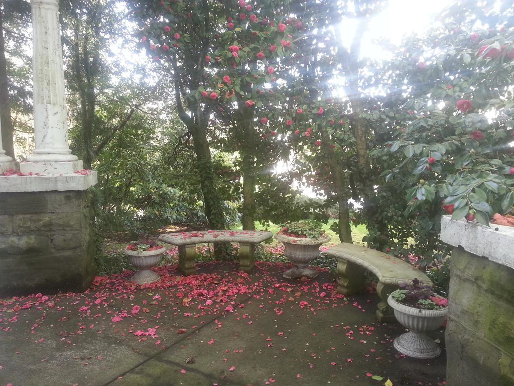 Evermore Guest house 3*